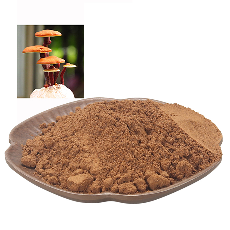 Top Benefits of Red Reishi Mushroom for Liver Function